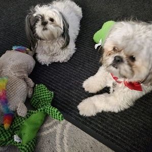 Meet your Posher, Charlene